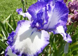 005 - space odyssey 1977